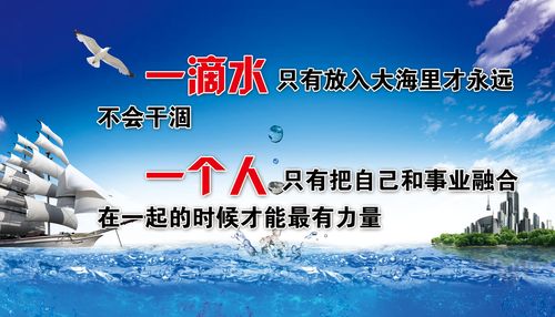 乐鱼体育官方:广州最大的挖掘机配件(广州挖掘机配件批发液压大全)